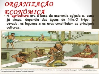 ORGANIZAÇÃO
ECONÔMICA• A agricultura era a base da economia egípcia e, como
já vimos, dependia das águas do Nilo.O trigo, a
cevada, os legumes e as uvas constituíam as principais
culturas.
 