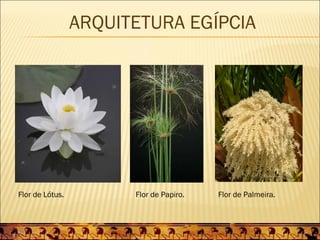 ARQUITETURA EGÍPCIA




Flor de Lótus.         Flor de Papiro.   Flor de Palmeira.
 