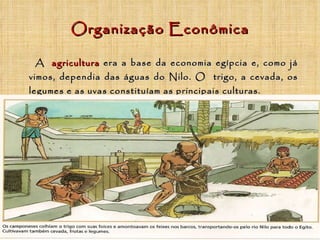 Organização Econômica A   agricultura   era a base da economia egípcia e, como já vimos, dependia das águas do Nilo. O  trigo, a cevada, os legumes e as uvas constituíam as principais culturas. 