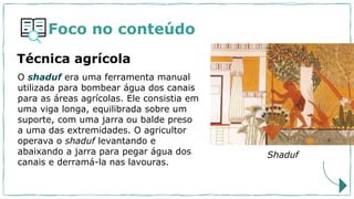 O shaduf era uma ferramenta manual
utilizada para bombear água dos canais
para as áreas agrícolas. Ele consistia em
uma viga longa, equilibrada sobre um
suporte, com uma jarra ou balde preso
a uma das extremidades. O agricultor
operava o shaduf levantando e
abaixando a jarra para pegar água dos
canais e derramá-la nas lavouras.
Shaduf
Foco no conteúdo
Técnica agrícola
 