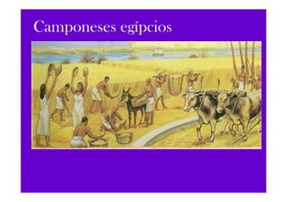 Camponeses egípcios
 