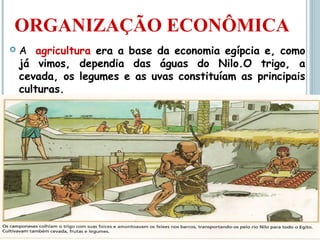 ORGANIZAÇÃO ECONÔMICA
 A agricultura era a base da economia egípcia e, como
já vimos, dependia das águas do Nilo.O trigo, a
cevada, os legumes e as uvas constituíam as principais
culturas.
 