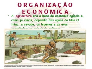 ORGANIZAÇÃO ECONÔMICA A  agricultura  era a base da economia egípcia e, como já vimos, dependia das águas do Nilo.O trigo, a cevada, os legumes e as uvas constituíam as principais culturas. 