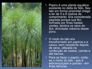 • Papiro é uma planta aquática
  existente no delta do Nilo. Seu
  talo em forma piramidal chega
  a ter de 5 a 6 metros de
  comprimento. Era considerada
  sagrada porque sua flor,
  formada por finas hastes
  verdes, lembra os raios do
  Sol, divindade máxima desse
  povo.

• O miolo do talo era
  transformado em papiros e a
  casca, bem resistente depois
  de seca, utilizada na
  confecção de cestos, camas e
  até barcos.
• Para se fazer o papiro, corta-
  se o miolo do talo - que é
  esbranquiçado e poroso - em
  finas lâminas.
 