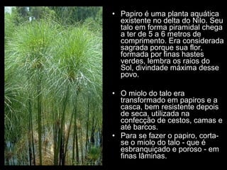 • Papiro é uma planta aquática
  existente no delta do Nilo. Seu
  talo em forma piramidal chega
  a ter de 5 a 6 metros de
  comprimento. Era considerada
  sagrada porque sua flor,
  formada por finas hastes
  verdes, lembra os raios do
  Sol, divindade máxima desse
  povo.

• O miolo do talo era
  transformado em papiros e a
  casca, bem resistente depois
  de seca, utilizada na
  confecção de cestos, camas e
  até barcos.
• Para se fazer o papiro, corta-
  se o miolo do talo - que é
  esbranquiçado e poroso - em
  finas lâminas.
 
