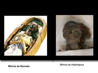 Múmia de Ramsés
Múmia de HatshepsutMúmia de Hatshepsut
 