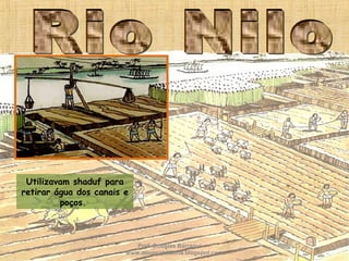 Utilizavam shaduf para
retirar água dos canais e
poços.
Prof. Douglas Barraqui
www.dougnahistoria.blogspot.com
 