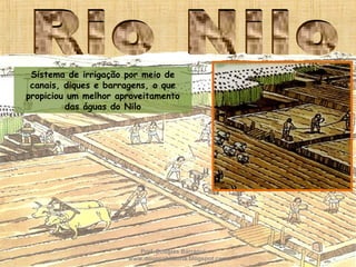 Sistema de irrigação por meio de
canais, diques e barragens, o que
propiciou um melhor aproveitamento
das águas do Nilo
Prof. Douglas Barraqui
www.dougnahistoria.blogspot.com
 