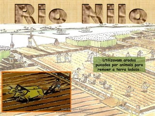 Utilizavam arados
puxados por animais para
remoer a terra lodosa.
Prof. Douglas Barraqui
www.dougnahistoria.blogspot.com
 