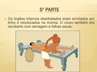 5º PARTE 
 Os órgãos internos desidratados eram enrolados em 
linho e recolocados na múmia. O corpo também era 
recoberto com serragem e folhas secas. 
 