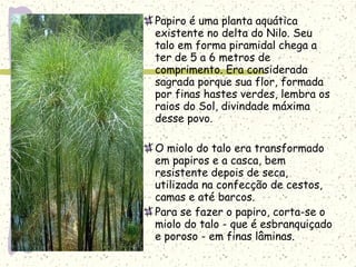 Papiro é uma planta aquática
existente no delta do Nilo. Seu
talo em forma piramidal chega a
ter de 5 a 6 metros de
comprimento. Era considerada
sagrada porque sua flor, formada
por finas hastes verdes, lembra os
raios do Sol, divindade máxima
desse povo.
O miolo do talo era transformado
em papiros e a casca, bem
resistente depois de seca,
utilizada na confecção de cestos,
camas e até barcos.
Para se fazer o papiro, corta-se o
miolo do talo - que é esbranquiçado
e poroso - em finas lâminas.
 