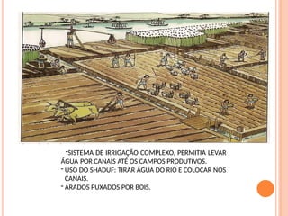 -SISTEMA DE IRRIGAÇÃO COMPLEXO, PERMITIA LEVAR
ÁGUA POR CANAIS ATÉ OS CAMPOS PRODUTIVOS.
- USO DO SHADUF: TIRAR ÁGUA DO RIO E COLOCAR NOS
CANAIS.
- ARADOS PUXADOS POR BOIS.
 