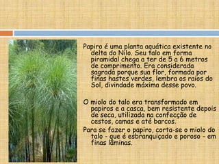 Papiro é uma planta aquática existente no
delta do Nilo. Seu talo em forma
piramidal chega a ter de 5 a 6 metros
de comprimento. Era considerada
sagrada porque sua flor, formada por
finas hastes verdes, lembra os raios do
Sol, divindade máxima desse povo.
O miolo do talo era transformado em
papiros e a casca, bem resistente depois
de seca, utilizada na confecção de
cestos, camas e até barcos.
Para se fazer o papiro, corta-se o miolo do
talo - que é esbranquiçado e poroso - em
finas lâminas.
 