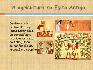 A agricultura no Egito Antigo
Destacava-se o
cultivo do trigo
(para fazer pão),
da cevada(para
fabricar cerveja),
do linho(usado
na confecção de
roupas) e do papiro.
 