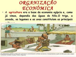 ORGANIZAÇÃO ECONÔMICA A  agricultura   era a base da economia egípcia e, como já vimos, dependia das águas do Nilo.O trigo, a cevada, os legumes e as uvas constituíam as principais culturas. 