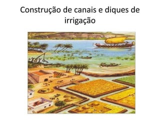 Construção de canais e diques de
irrigação
 