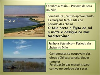 Outubro a Maio – Período de seca
no Nilo
Semeadura , cultivo aproveitando
as margens fertilizadas no
período das cheias.
O Nilo corta o Egito de sul
a norte e deságua no mar
Mediterrâneo.
Junho a Setembro – Período das
cheias no Nilo
Camponeses se ocupavam das
obras públicas: canais, diques,
templos
Fertilização das margens para
cultivo no período das secas
 