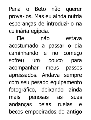 Pena o Beto não querer
prová-los. Mas eu ainda nutria
esperanças de introduzi-lo na
culinária egípcia.
Ele
não
estava
acostumado a passar o dia
caminhando e no começo
sofreu
um
pouco
para
acompanhar meus passos
apressados. Andava sempre
com seu pesado equipamento
fotográfico, deixando ainda
mais
penosas
as
suas
andanças pelas ruelas e
becos empoeirados do antigo

 
