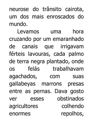 neurose do trânsito cairota,
um dos mais enroscados do
mundo.
Levamos
uma
hora
cruzando por um emaranhado
de canais que irrigavam
férteis lavouras, cada palmo
de terra negra plantado, onde
os
felás
trabalhavam
agachados,
com
suas
gallabeyas marrons presas
entre as pernas. Dava gosto
ver
esses
obstinados
agricultores
colhendo
enormes
repolhos,

 