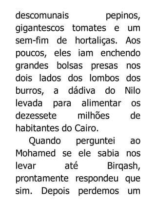 descomunais
pepinos,
gigantescos tomates e um
sem-fim de hortaliças. Aos
poucos, eles iam enchendo
grandes bolsas presas nos
dois lados dos lombos dos
burros, a dádiva do Nilo
levada para alimentar os
dezessete
milhões
de
habitantes do Cairo.
Quando
perguntei
ao
Mohamed se ele sabia nos
levar
até
Birqash,
prontamente respondeu que
sim. Depois perdemos um

 