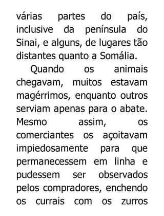 várias
partes
do
país,
inclusive da península do
Sinai, e alguns, de lugares tão
distantes quanto a Somália.
Quando
os
animais
chegavam, muitos estavam
magérrimos, enquanto outros
serviam apenas para o abate.
Mesmo
assim,
os
comerciantes os açoitavam
impiedosamente para que
permanecessem em linha e
pudessem ser observados
pelos compradores, enchendo
os currais com os zurros

 