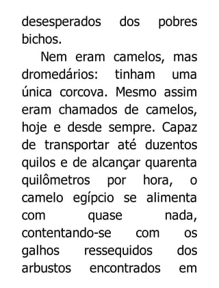 desesperados dos pobres
bichos.
Nem eram camelos, mas
dromedários: tinham uma
única corcova. Mesmo assim
eram chamados de camelos,
hoje e desde sempre. Capaz
de transportar até duzentos
quilos e de alcançar quarenta
quilômetros por hora, o
camelo egípcio se alimenta
com
quase
nada,
contentando-se
com
os
galhos
ressequidos
dos
arbustos encontrados em

 