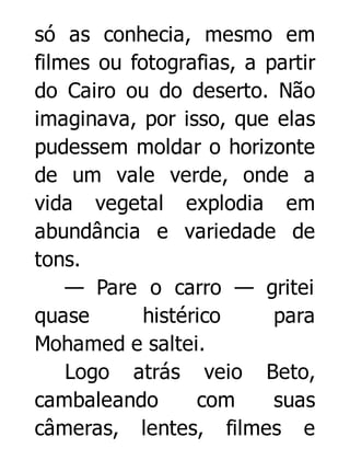 só as conhecia, mesmo em
filmes ou fotografias, a partir
do Cairo ou do deserto. Não
imaginava, por isso, que elas
pudessem moldar o horizonte
de um vale verde, onde a
vida vegetal explodia em
abundância e variedade de
tons.
— Pare o carro — gritei
quase
histérico
para
Mohamed e saltei.
Logo atrás veio Beto,
cambaleando
com
suas
câmeras, lentes, filmes e

 