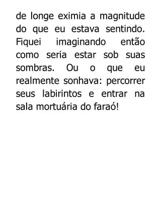 de longe eximia a magnitude
do que eu estava sentindo.
Fiquei
imaginando
então
como seria estar sob suas
sombras. Ou o que eu
realmente sonhava: percorrer
seus labirintos e entrar na
sala mortuária do faraó!

 