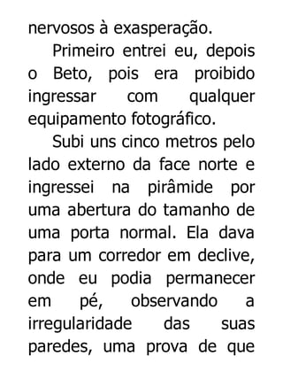 nervosos à exasperação.
Primeiro entrei eu, depois
o Beto, pois era proibido
ingressar
com
qualquer
equipamento fotográfico.
Subi uns cinco metros pelo
lado externo da face norte e
ingressei na pirâmide por
uma abertura do tamanho de
uma porta normal. Ela dava
para um corredor em declive,
onde eu podia permanecer
em
pé,
observando
a
irregularidade
das
suas
paredes, uma prova de que

 