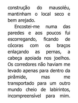 construção
do
mausoléu,
mantinham o local seco e
bem arejado.
Encostei-me numa das
paredes e aos poucos fui
escorregando, ficando de
cócoras com os braços
enlaçando as pernas, a
cabeça apoiada nos joelhos.
Os corredores não haviam me
levado apenas para dentro da
pirâmide,
mas
me
transportado para um outro
mundo cheio de labirintos,
incompreensível para mim.

 