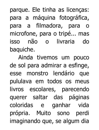 parque. Ele tinha as licenças:
para a máquina fotográfica,
para a filmadora, para o
microfone, para o tripé... mas
isso não o livraria do
baquiche.
Ainda tivemos um pouco
de sol para admirar a esfinge,
esse monstro lendário que
pululava em todos os meus
livros escolares, parecendo
querer saltar das páginas
coloridas e ganhar vida
própria. Muito sono perdi
imaginando que, se algum dia

 