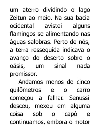 um aterro dividindo o lago
Zeitun ao meio. Na sua bacia
ocidental
avistei
alguns
flamingos se alimentando nas
águas salobras. Perto de nós,
a terra ressequida indicava o
avanço do deserto sobre o
oásis,
um
sinal
nada
promissor.
Andamos menos de cinco
quilômetros
e
o
carro
começou a falhar. Senussi
desceu, mexeu em alguma
coisa
sob
o
capô
e
continuamos, embora o motor

 