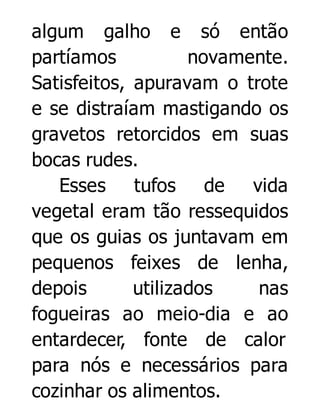 algum galho e só então
partíamos
novamente.
Satisfeitos, apuravam o trote
e se distraíam mastigando os
gravetos retorcidos em suas
bocas rudes.
Esses tufos de
vida
vegetal eram tão ressequidos
que os guias os juntavam em
pequenos feixes de lenha,
depois
utilizados
nas
fogueiras ao meio-dia e ao
entardecer, fonte de calor
para nós e necessários para
cozinhar os alimentos.

 