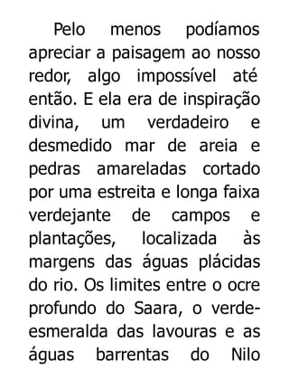 Pelo menos podíamos
apreciar a paisagem ao nosso
redor, algo impossível até
então. E ela era de inspiração
divina, um verdadeiro e
desmedido mar de areia e
pedras amareladas cortado
por uma estreita e longa faixa
verdejante de campos e
plantações, localizada
às
margens das águas plácidas
do rio. Os limites entre o ocre
profundo do Saara, o verdeesmeralda das lavouras e as
águas barrentas do Nilo

 