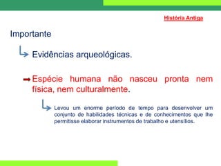 Importante
Evidências arqueológicas.
Espécie humana não nasceu pronta nem
física, nem culturalmente.
Levou um enorme período de tempo para desenvolver um
conjunto de habilidades técnicas e de conhecimentos que lhe
permitisse elaborar instrumentos de trabalho e utensílios.
História Antiga
 