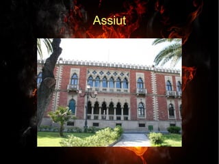 Assiut
 