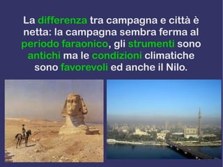 La differenza tra campagna e città è
netta: la campagna sembra ferma al
periodo faraonico, gli strumenti sono
antichi ma le condizioni climatiche
sono favorevoli ed anche il Nilo.
 