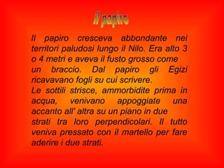lI papiro cresceva abbondante nei
territori paludosi lungo il Nilo. Era alto 3
o 4 metri e aveva il fusto grosso come
un braccio. Dal papiro gli Egizi
ricavavano fogli su cui scrivere.
Le sottili strisce, ammorbidite prima in
acqua, venivano appoggiate una
accanto all' altra su un piano in due
strati tra loro perpendicolari. Il tutto
veniva pressato con il martello per fare
aderire i due strati.
 