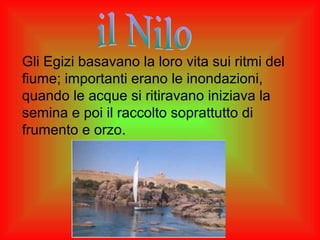 Gli Egizi basavano la loro vita sui ritmi del
fiume; importanti erano le inondazioni,
quando le acque si ritiravano iniziava la
semina e poi il raccolto soprattutto di
frumento e orzo.
 