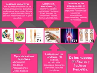 Lesiones deportivas
Son aquellas alteraciones de los
huesos, articulaciones, músculos y
tendones que se producen durante
la práctica de actividades físicas y
se hallan relacionadas con el gesto
deportivo.
Tipos de lesiones
deportivas:
-Musculares
-Tendones
-Articulaciones
-De los huesos
Lesiones D.
Musculares: (1)
calambres, agujetas,
contracturas, roturas de
fibras, desinserción,
contusiones, heridas,
hernias y hematomas.
Lesiones en los
tendones: (2)
tendinitis,
tenosinovitis,
distensión, desgarros
parciales y roturas
completas.
Lesiones en las
articulaciones: (3)
Lesiones ligamentosas,
capsulares y del cartílago.
Luxaciones y
subluxaciones.
Inestabilidades y lesiones
de meniscos.
De los huesos:
(4) Fisuras y
fracturas.
Periostitis.
 