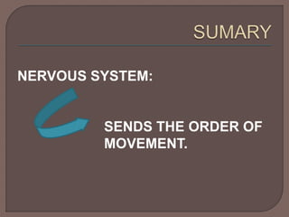 NERVOUS SYSTEM: 
SENDS THE ORDER OF 
MOVEMENT. 
 