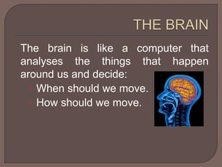 The brain is like a computer that 
analyses the things that happen 
around us and decide: 
 When should we move. 
 How should we move. 
 