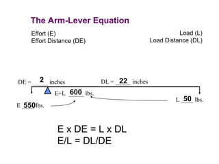 Effort (E)
Effort Distance (DE)
Load (L)
Load Distance (DL)
The Arm-Lever Equation
DE = _____ inches DL = _____ inches
E ____ lbs.
L ____ lbs.
E+L _____ lbs.
E x DE = L x DL
E/L = DL/DE
2 22
550
600
50
 