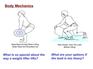 Body Mechanics
Keep Back Arched When Lifting
Keep Head and Shoulders Up
Plan Ahead, Test The Load
Before Lifting.
What are your options if
the load is too heavy?
What is so special about the
way a weight lifter lifts?
 