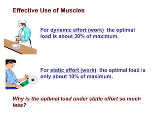 Effective Use of Muscles
For dynamic effort (work) the optimal
load is about 30% of maximum.
For static effort (work) the optimal load is
only about 10% of maximum.
Why is the optimal load under static effort so much
less?
 