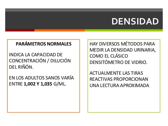 Examen General De Orina