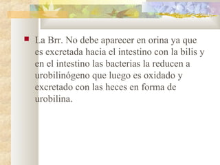    La Brr. No debe aparecer en orina ya que
    es excretada hacia el intestino con la bilis y
    en el intestino las bacterias la reducen a
    urobilinógeno que luego es oxidado y
    excretado con las heces en forma de
    urobilina.
 