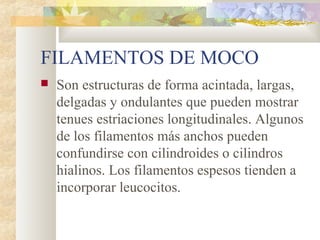 FILAMENTOS DE MOCO
   Son estructuras de forma acintada, largas,
    delgadas y ondulantes que pueden mostrar
    tenues estriaciones longitudinales. Algunos
    de los filamentos más anchos pueden
    confundirse con cilindroides o cilindros
    hialinos. Los filamentos espesos tienden a
    incorporar leucocitos.
 