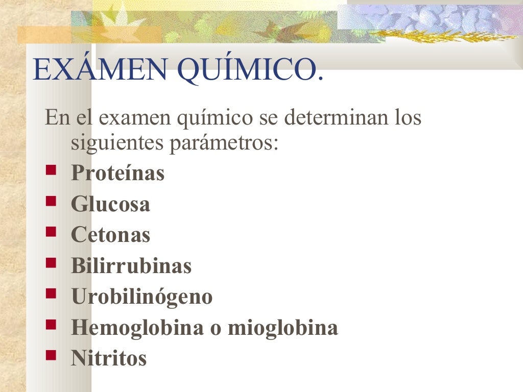 ego examen general de orina