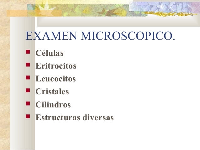 eritrocitos altos en orina por menstruacion eritrocitos altos en orina por menstruacion